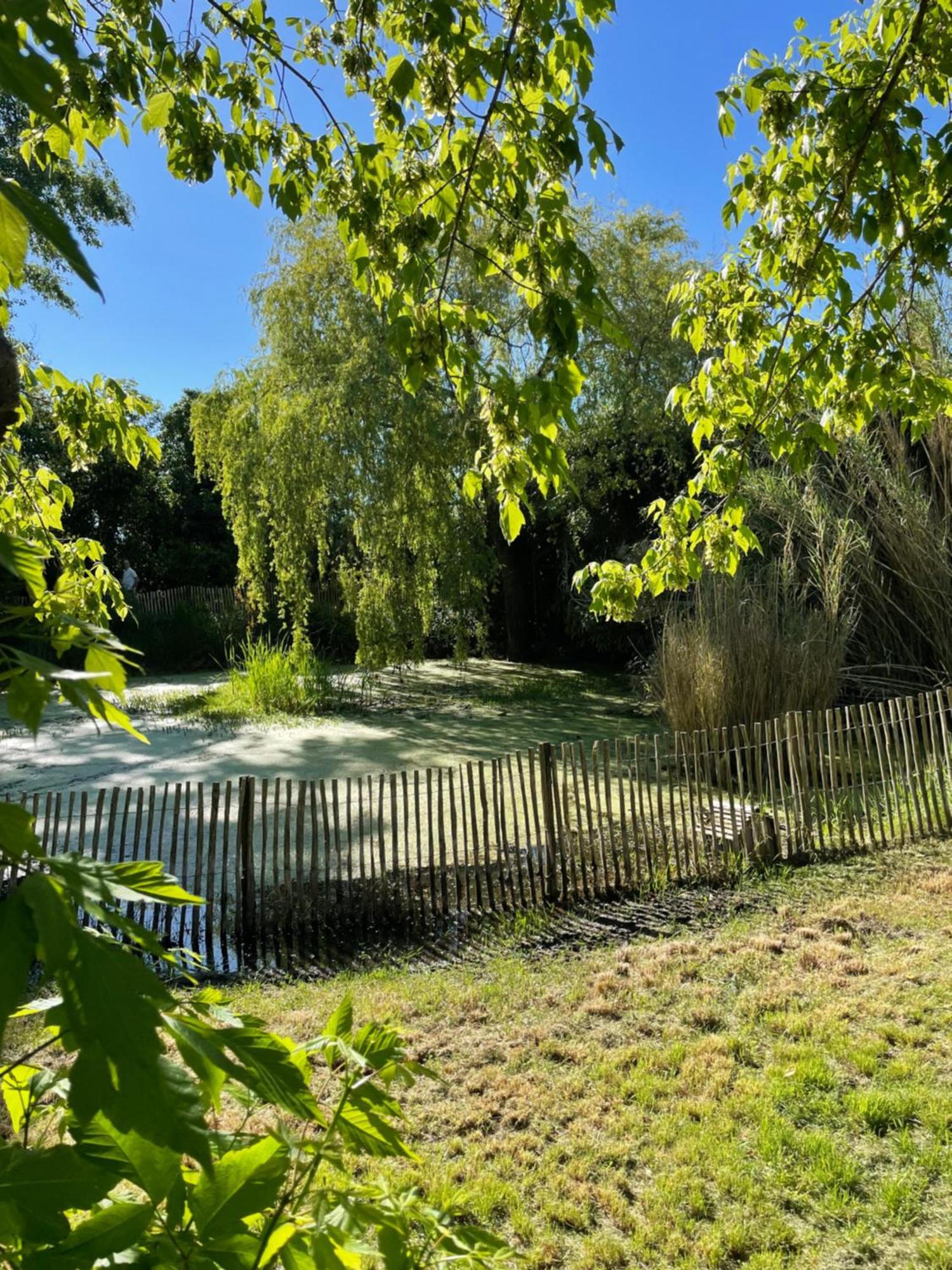 Bed and Breakfast Instant Zen Saint-Vivien-de-Médoc Exterior foto